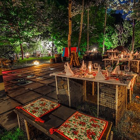 Solang Valley Resort Palchān エクステリア 写真