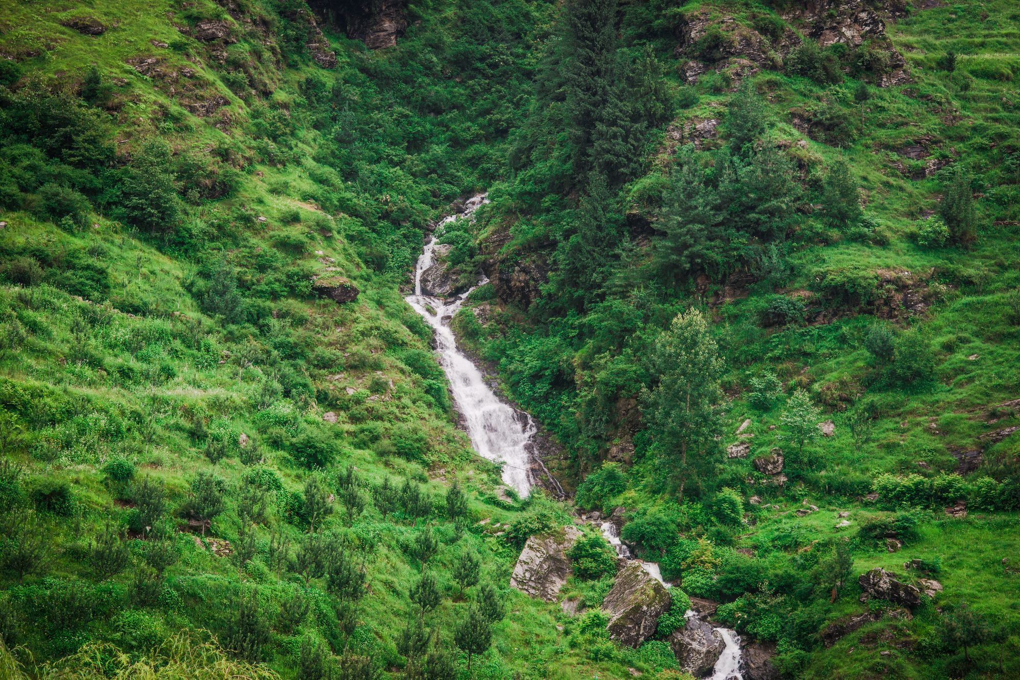 Solang Valley Resort Palchān エクステリア 写真