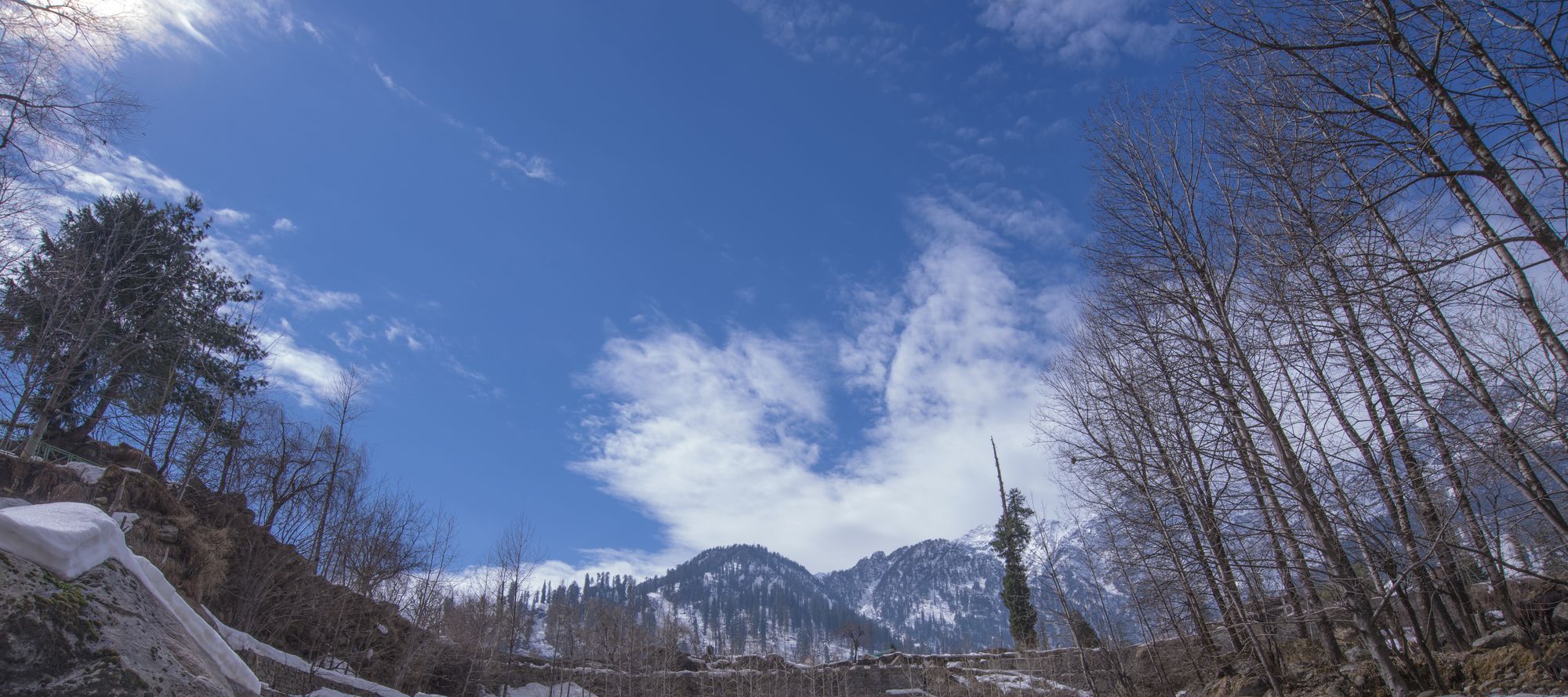Solang Valley Resort Palchān エクステリア 写真