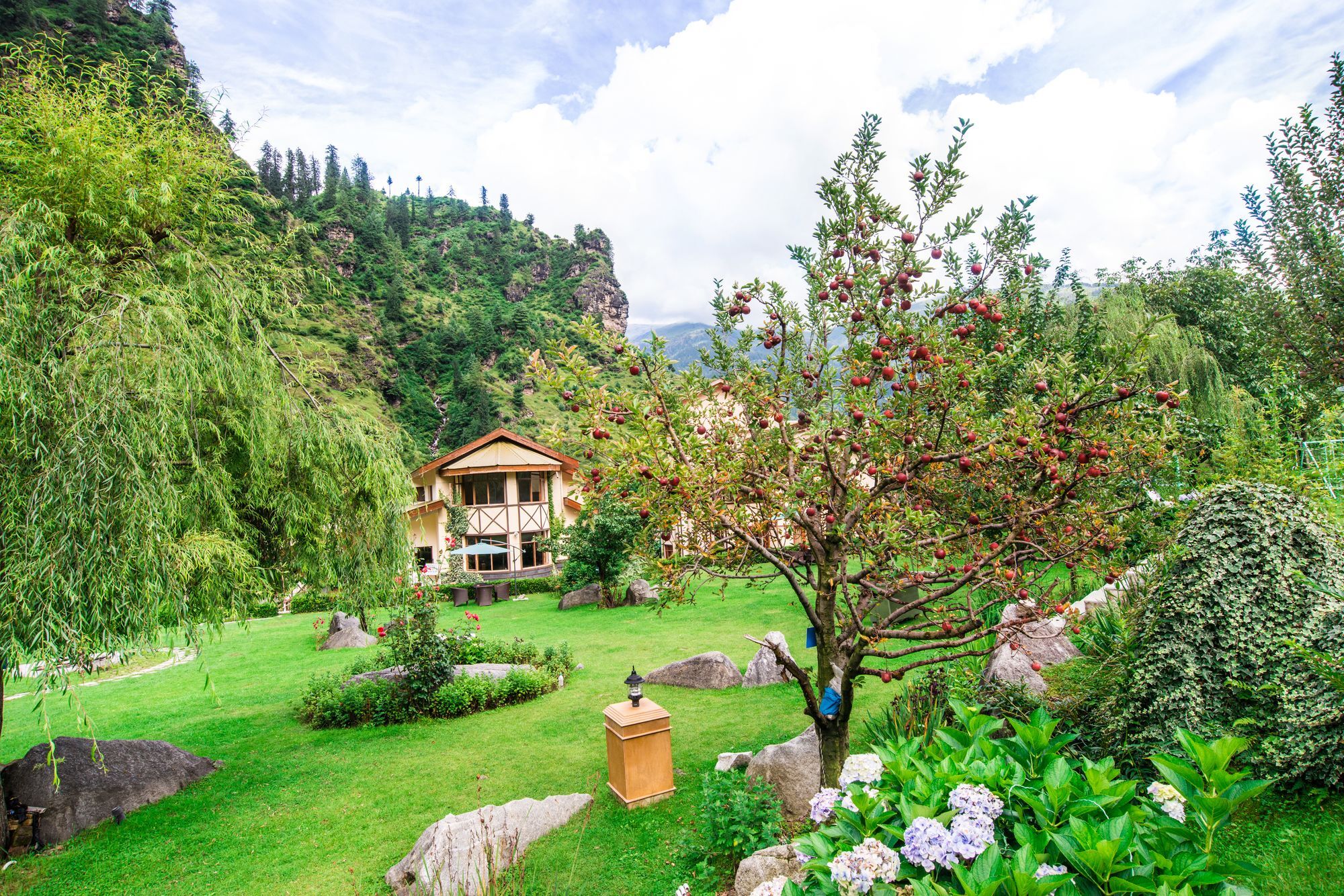 Solang Valley Resort Palchān エクステリア 写真