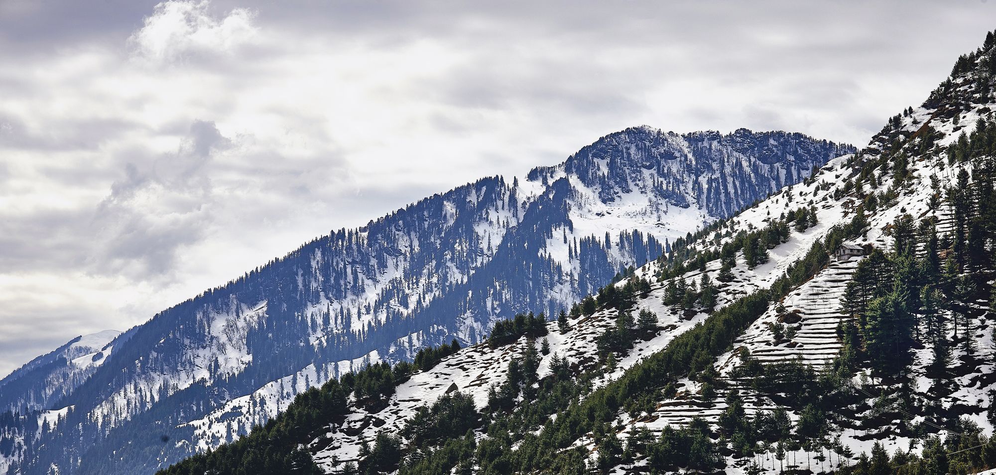 Solang Valley Resort Palchān エクステリア 写真