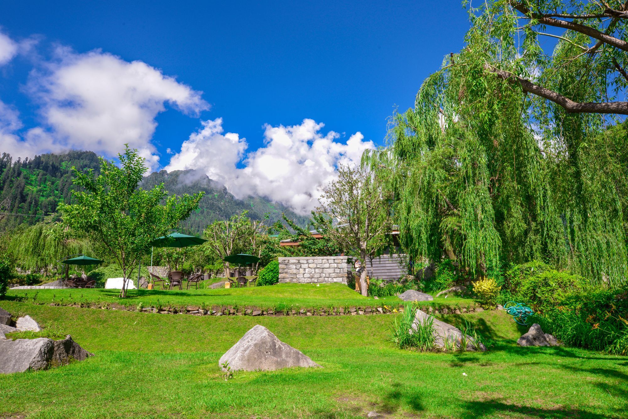 Solang Valley Resort Palchān エクステリア 写真